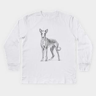 Ibizan Hound Kids Long Sleeve T-Shirt